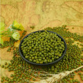 Chinese dried green mung bean